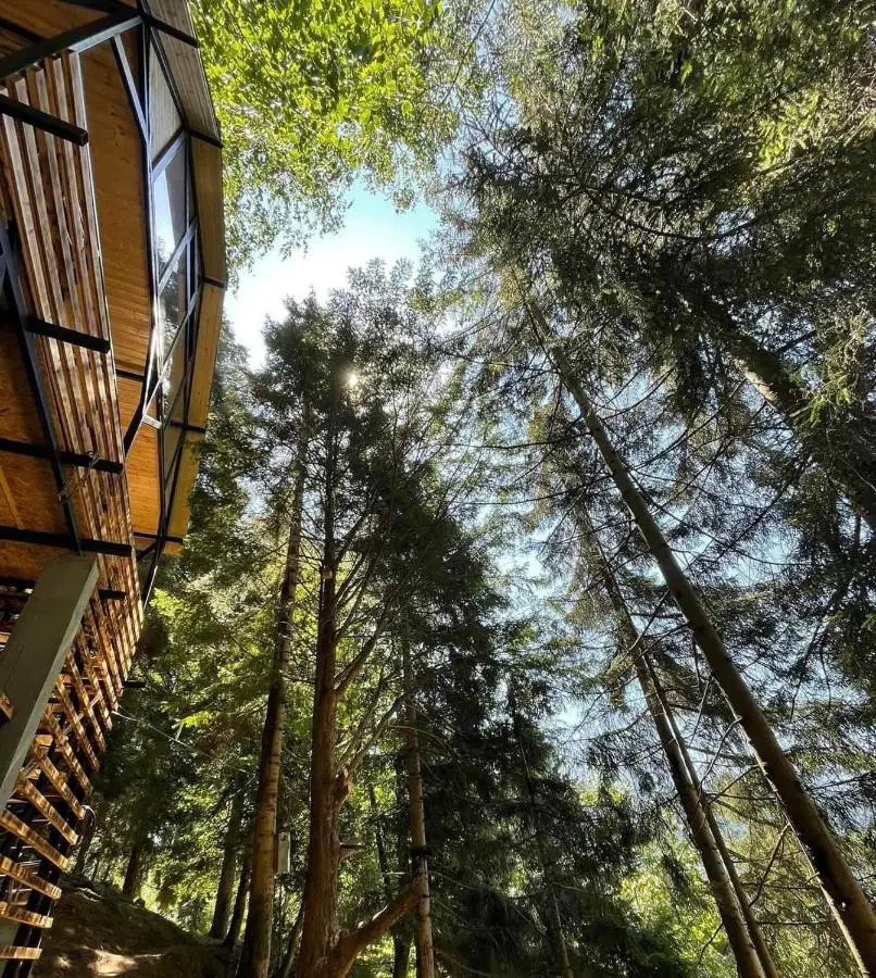 Chalet Nune