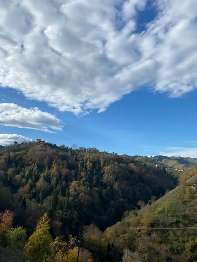 Hobbitköy giresun