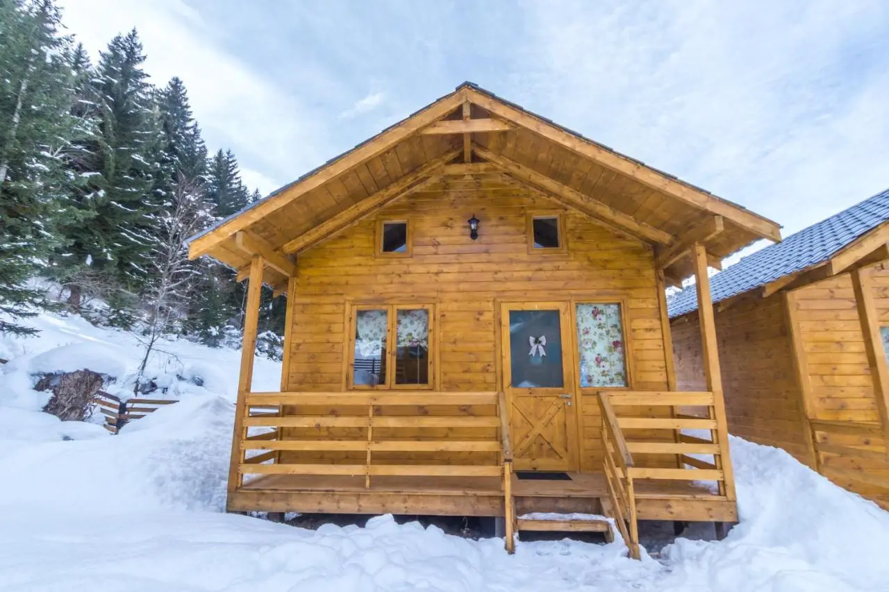 Mountain Cabins