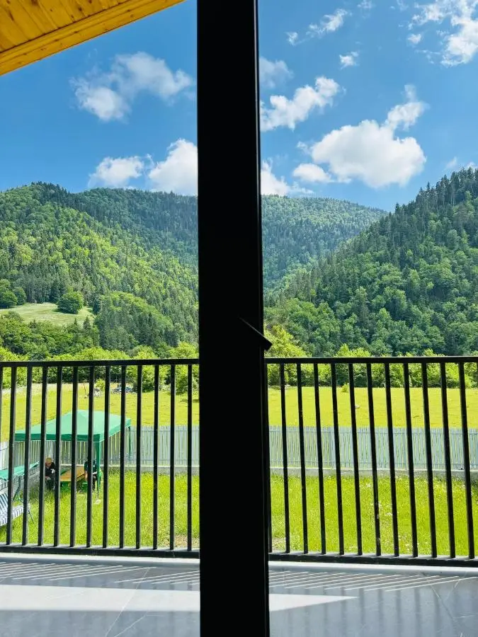 Buddy House Borjomi