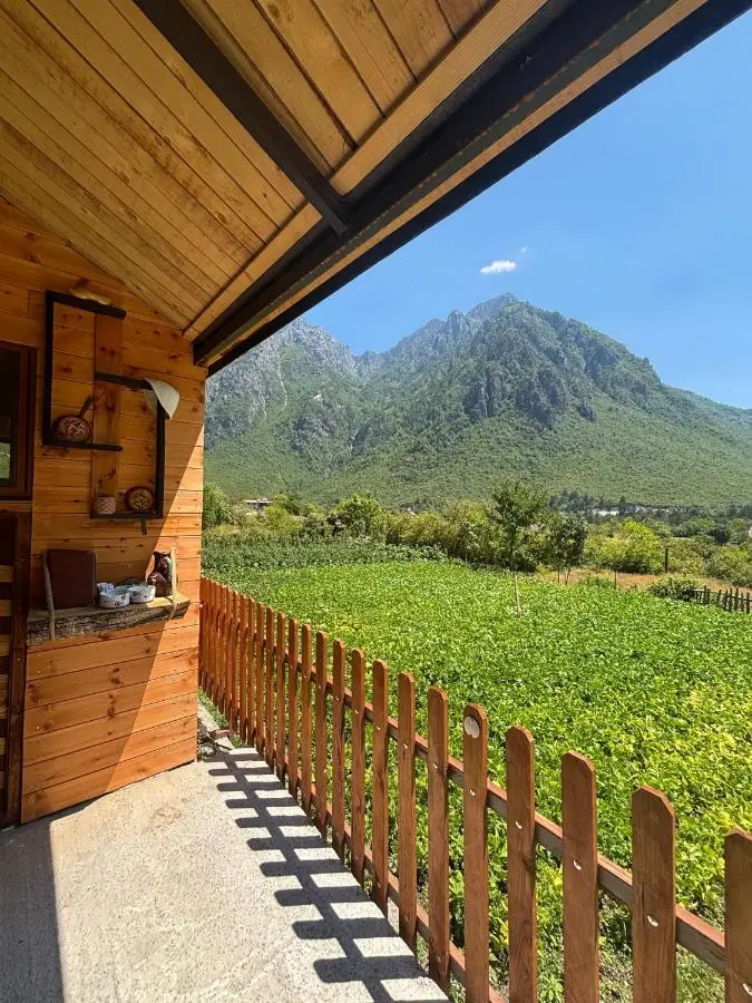 Guesthouse Driti