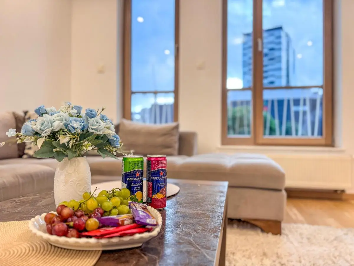 Luxury apartment 304 - next to Sarajevo City Center