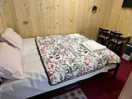 Wooden house