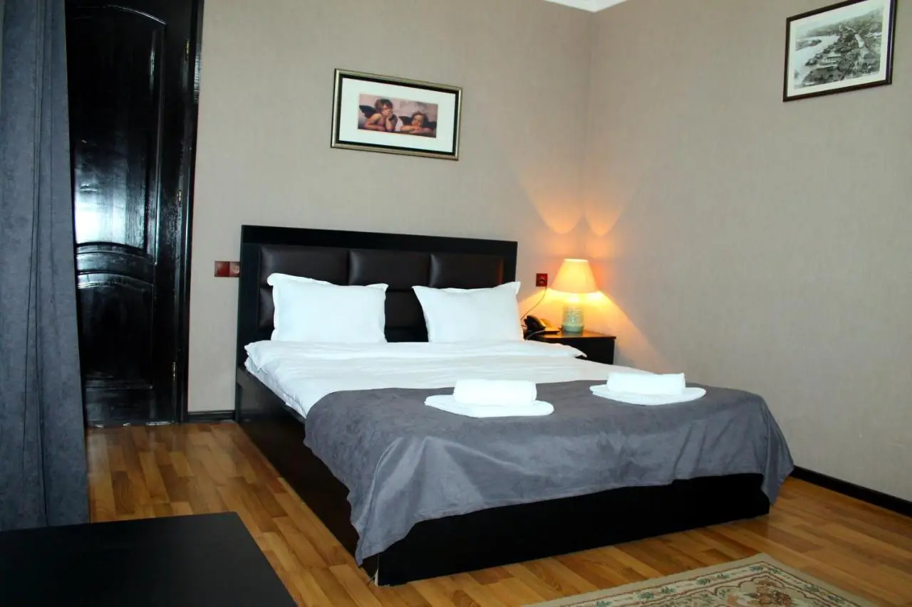 Hotel New Metekhi