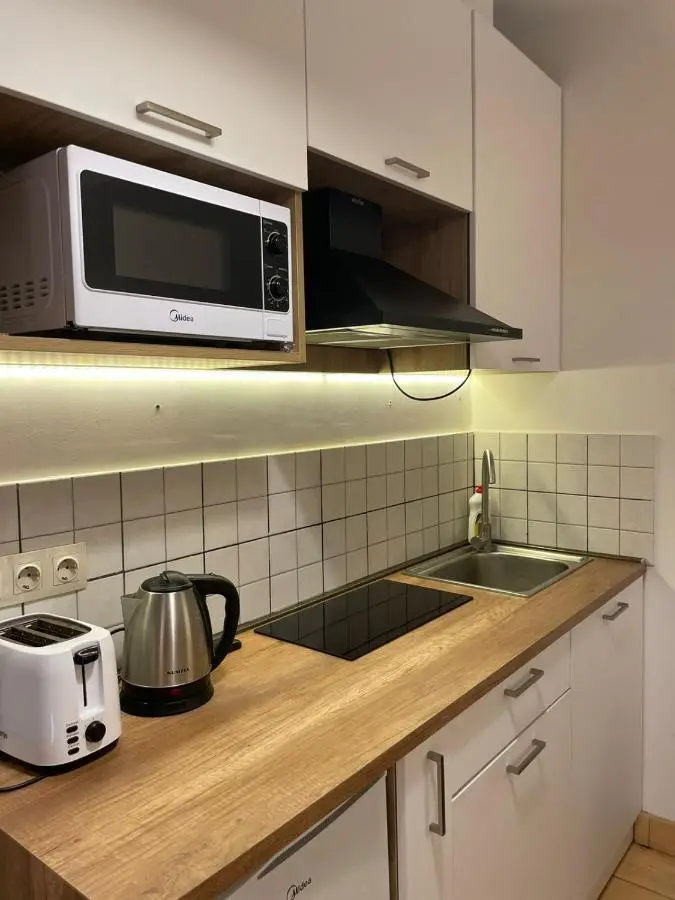 New Gudauri Atrium Apartments with Kitchen