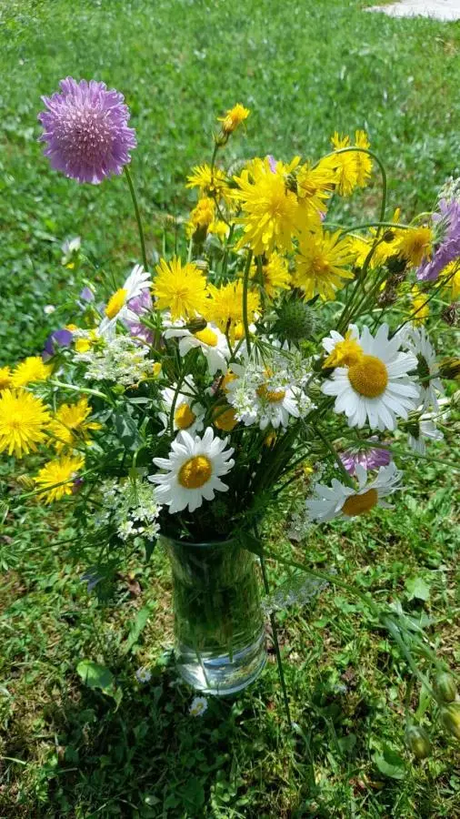 Holiday home Vila Bjelašnica
