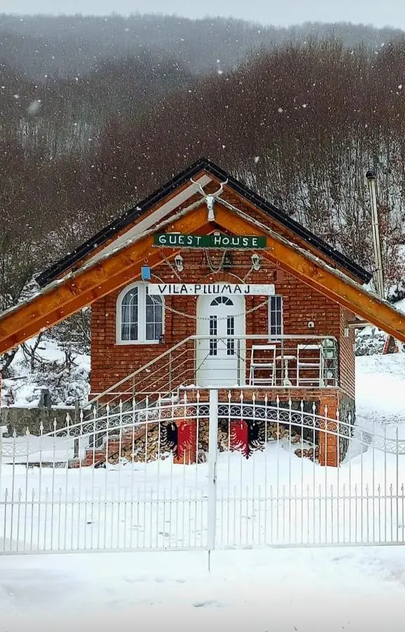 Vilat Pllumaj