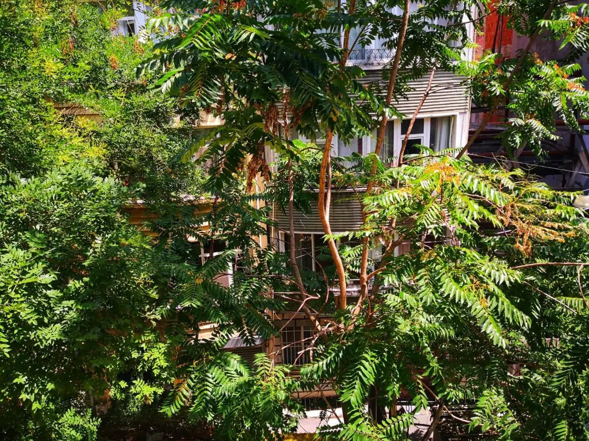 Gafa Garden Hostel & Apartments - Great Location