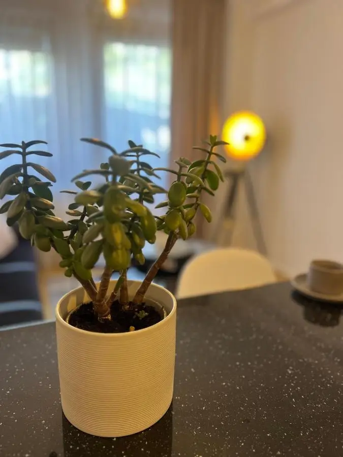 Apartment President