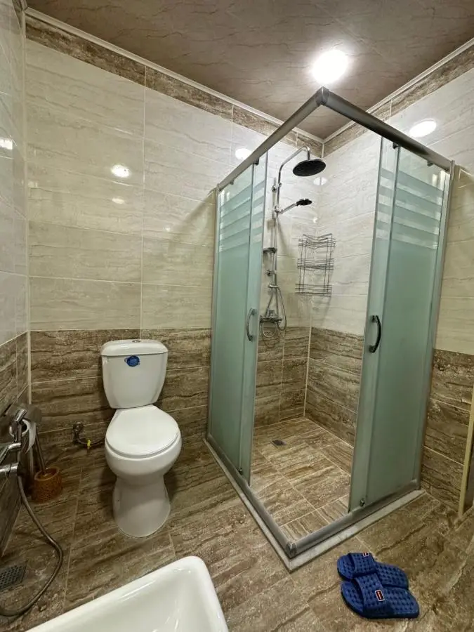 Gabala Central Villa