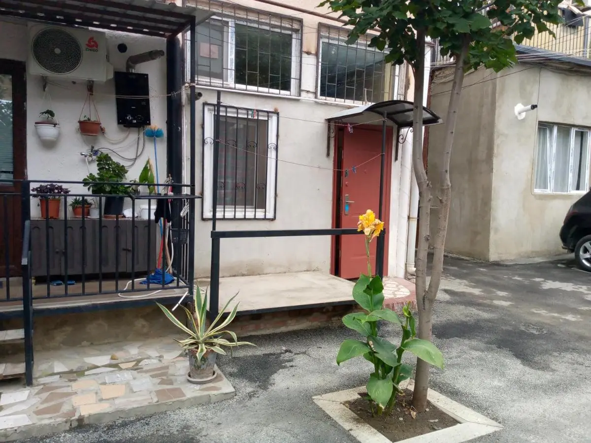 birdhome in Tbilisi (Maria)