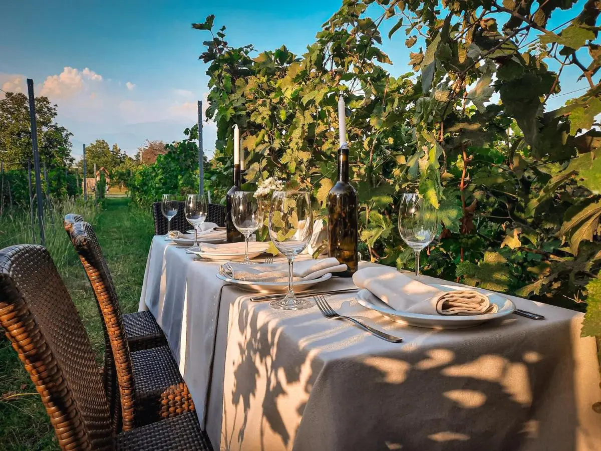 Schuchmann Wines Château,Villas & SPA