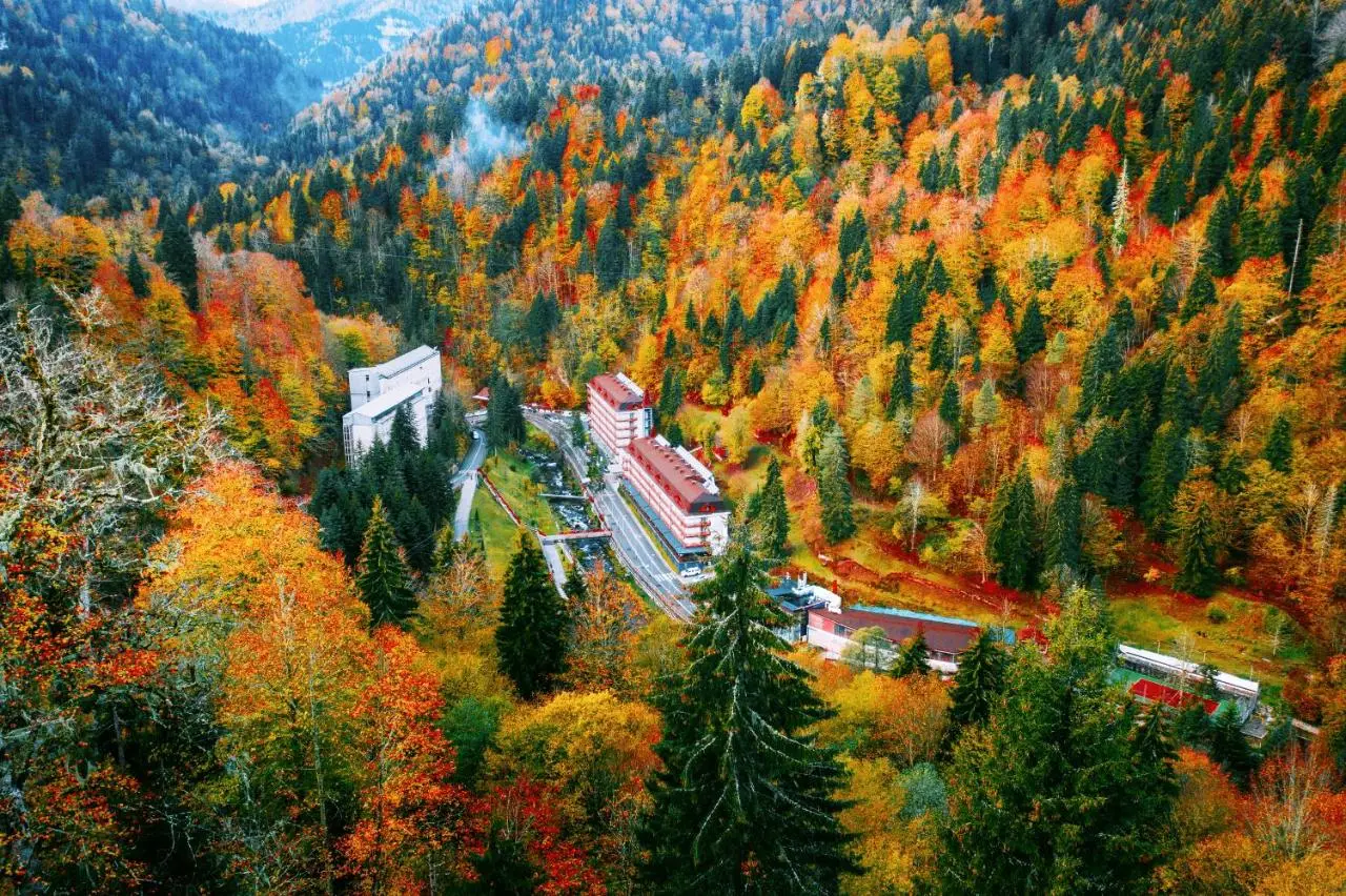 Sairme South