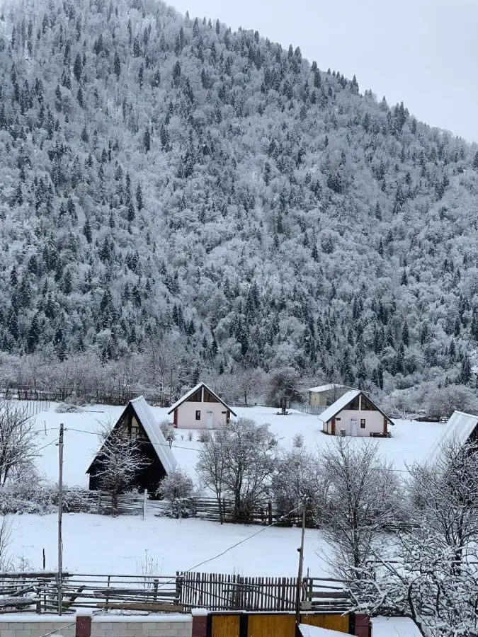 Green Mountain Borjomi