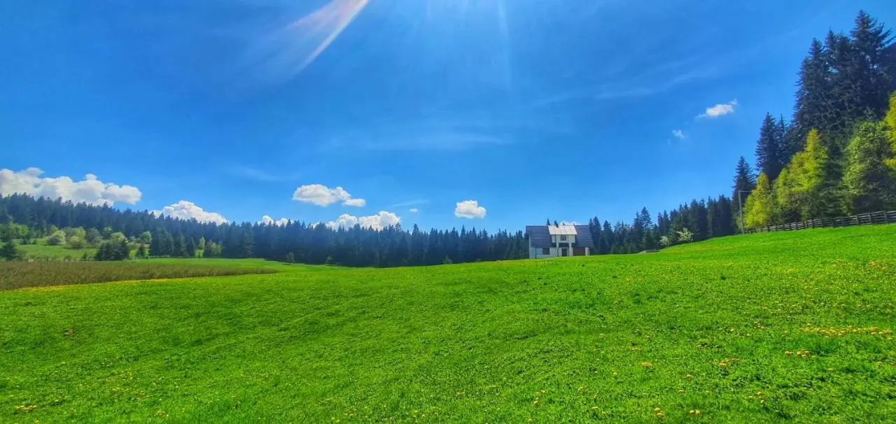 Apartmani Nišićka Oaza