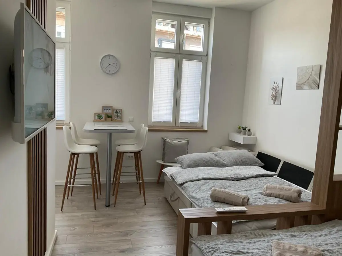 Apartments Studio Center