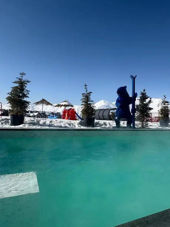 New Gudauri Alpen Apartments