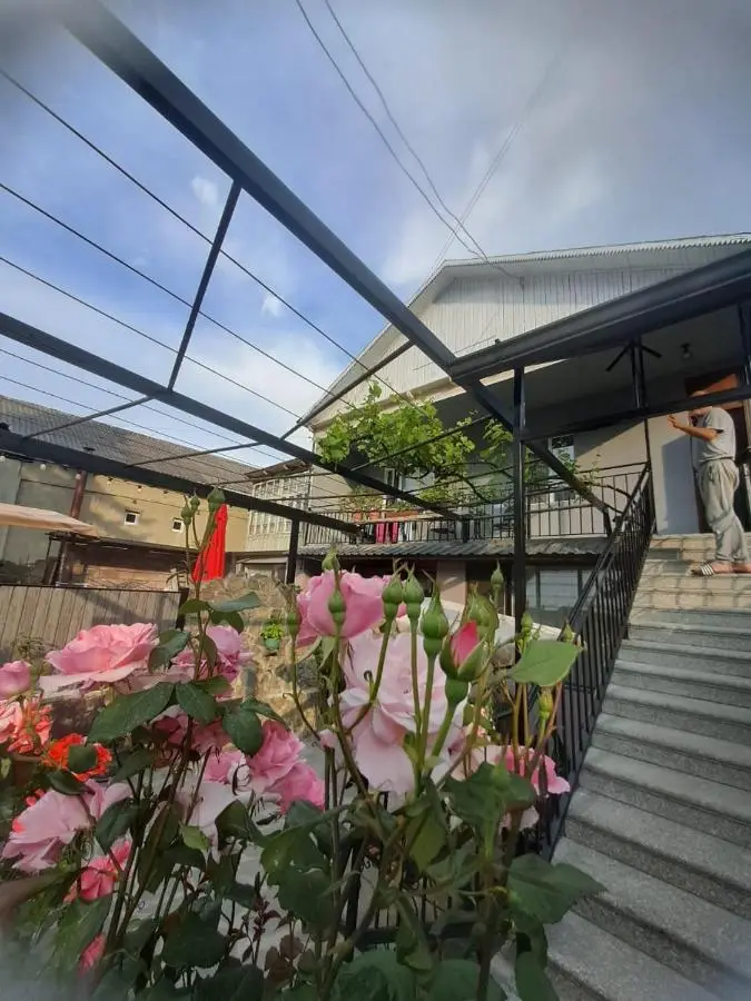 Vaso&Iro Guest House