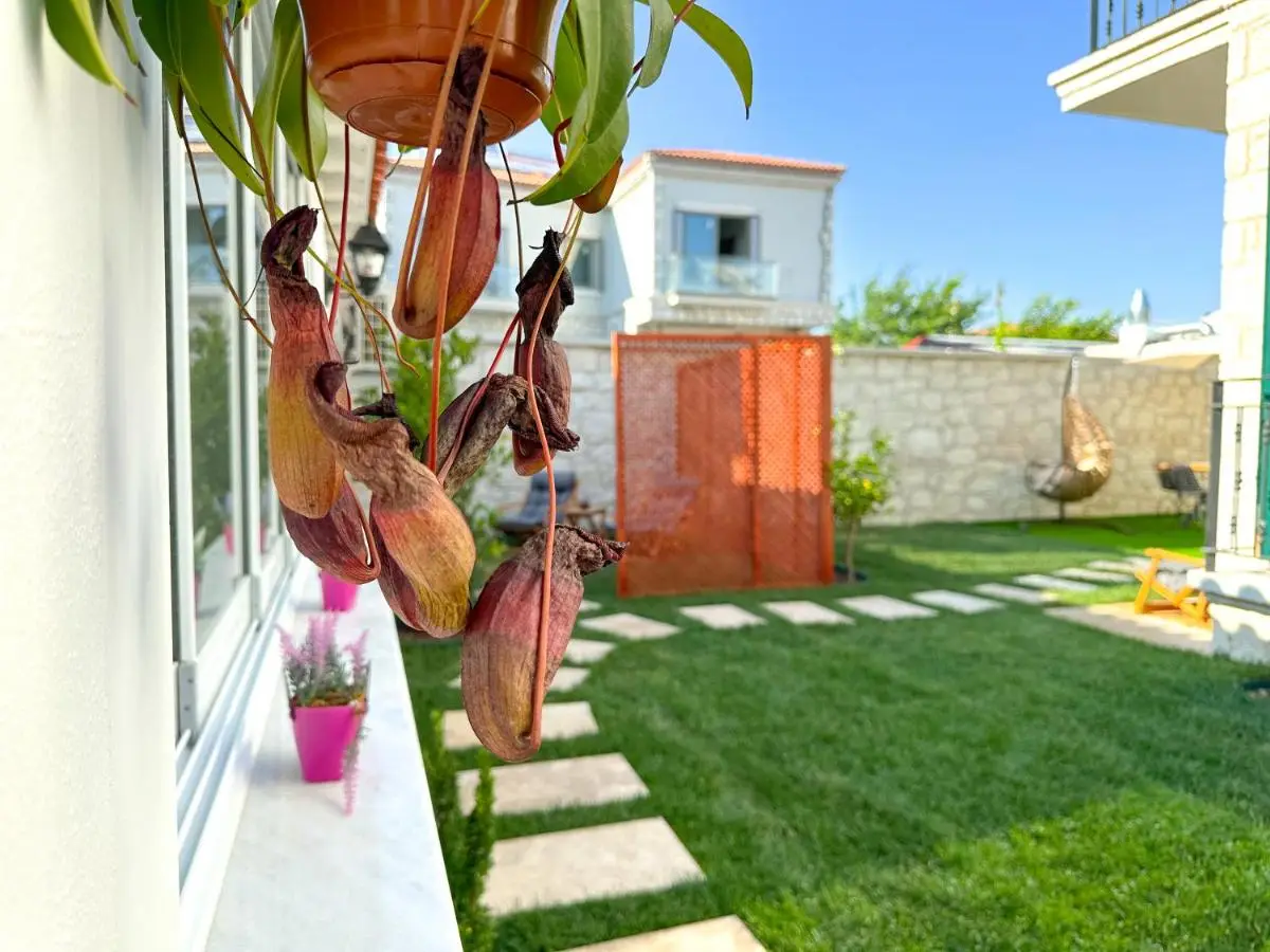 Müzeyyen Hanım Konağı Alaçatı