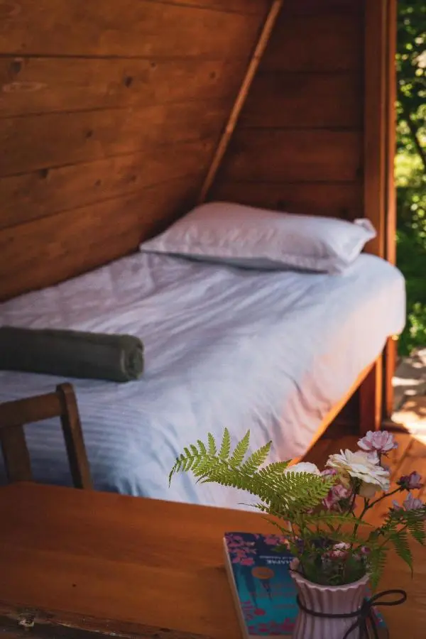 Dumbo Eco Camp