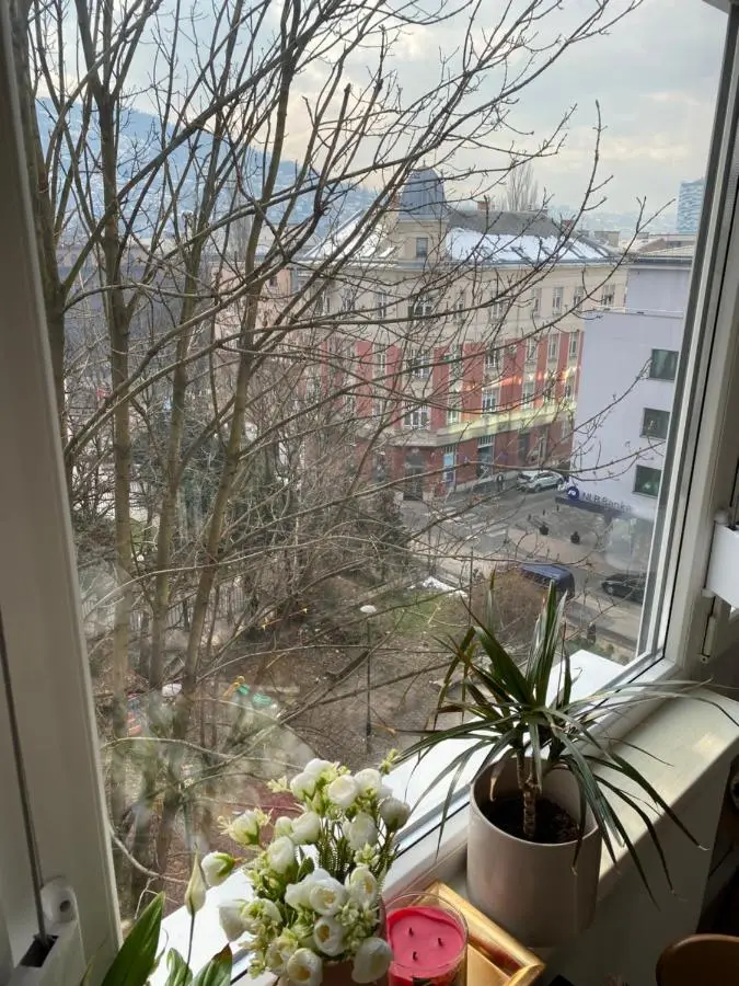 Studio Central Apartment