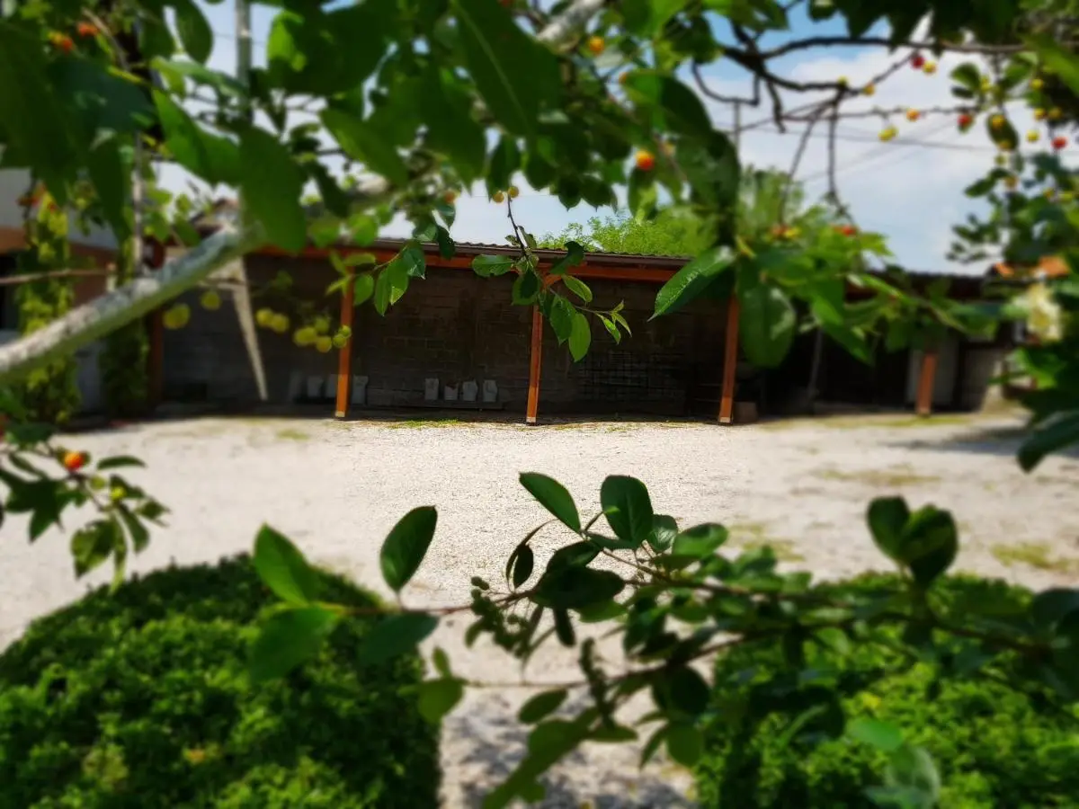 Apartment Paradise Enver