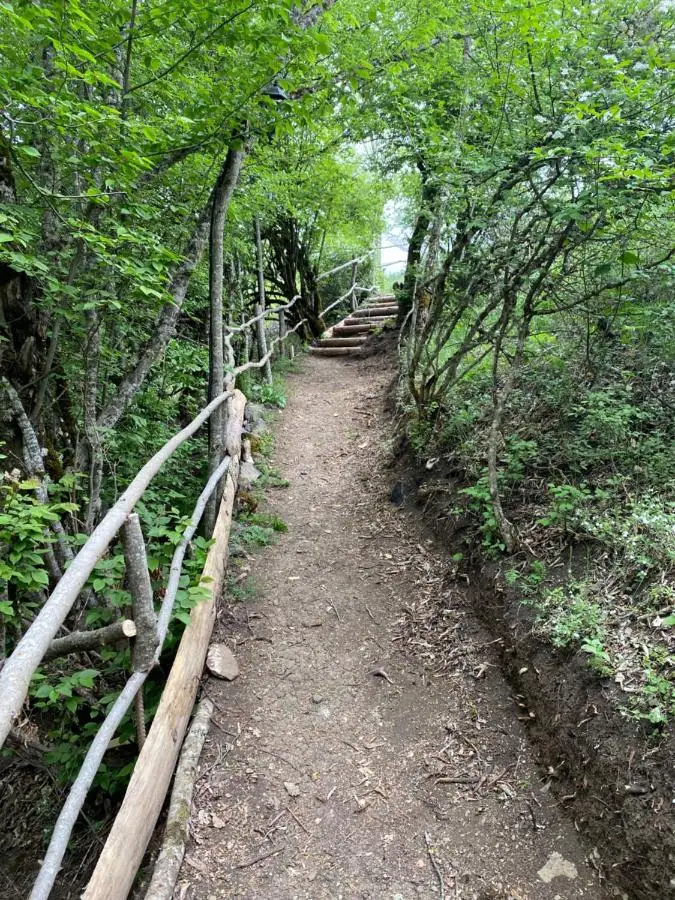 White House near Borjomi Sadgeri