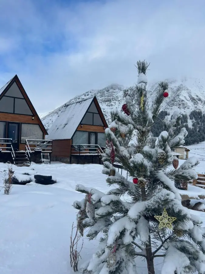MTISGULI Cottages