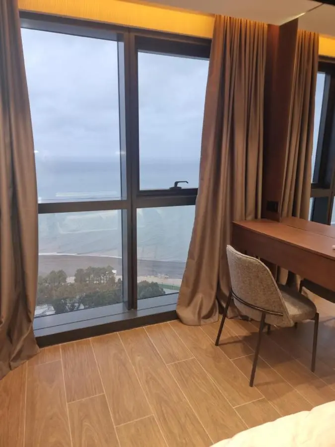 Premium apartment in Porta Batumi Tower