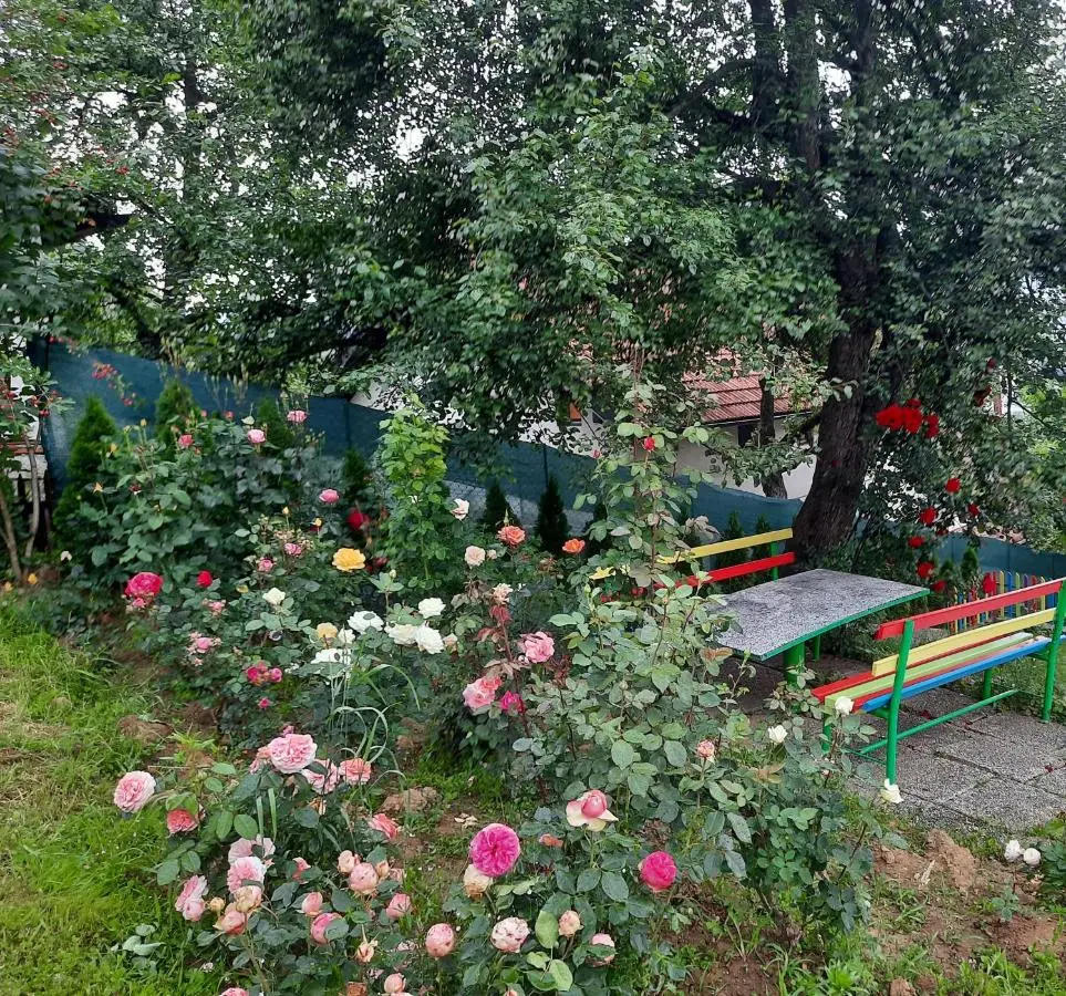 Sarajevo Flower Garden - Entire House & Private Garden