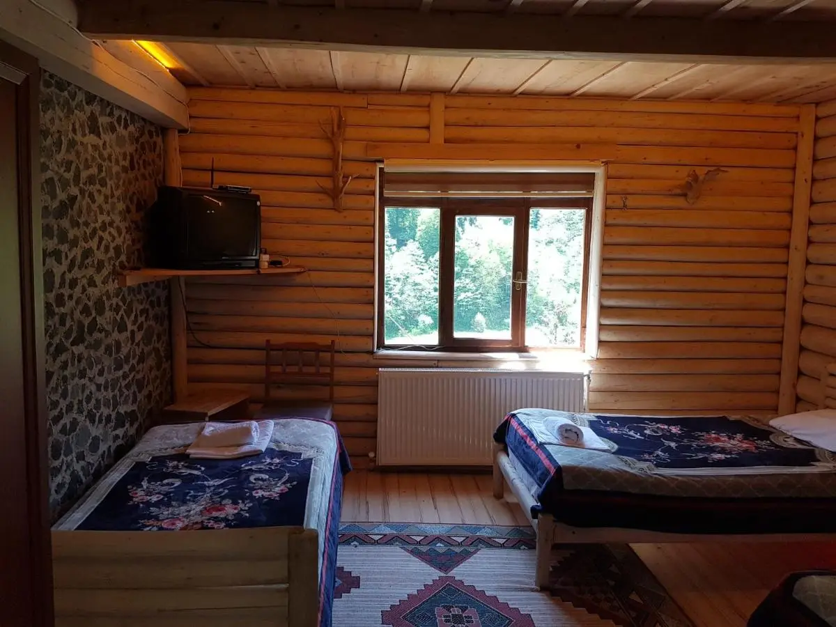 Ladin Dağ evi