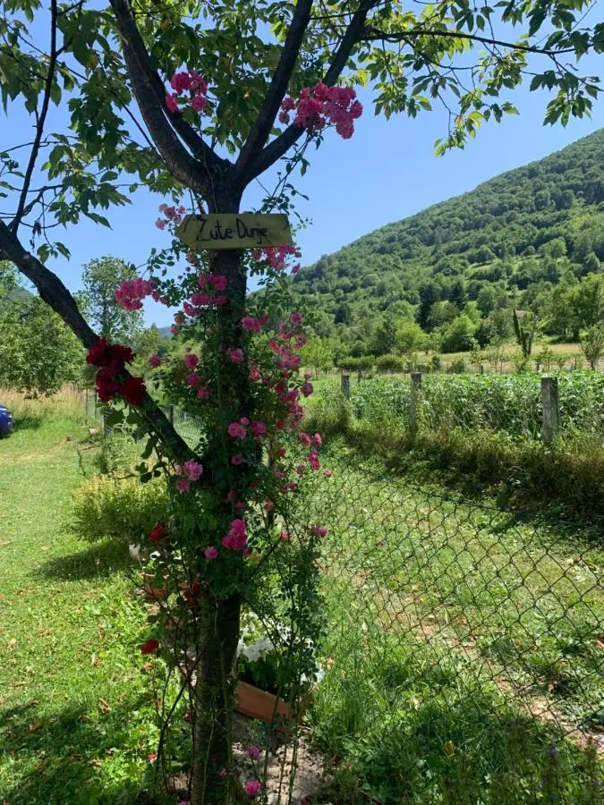 Vikendica Žute dunje Jajce