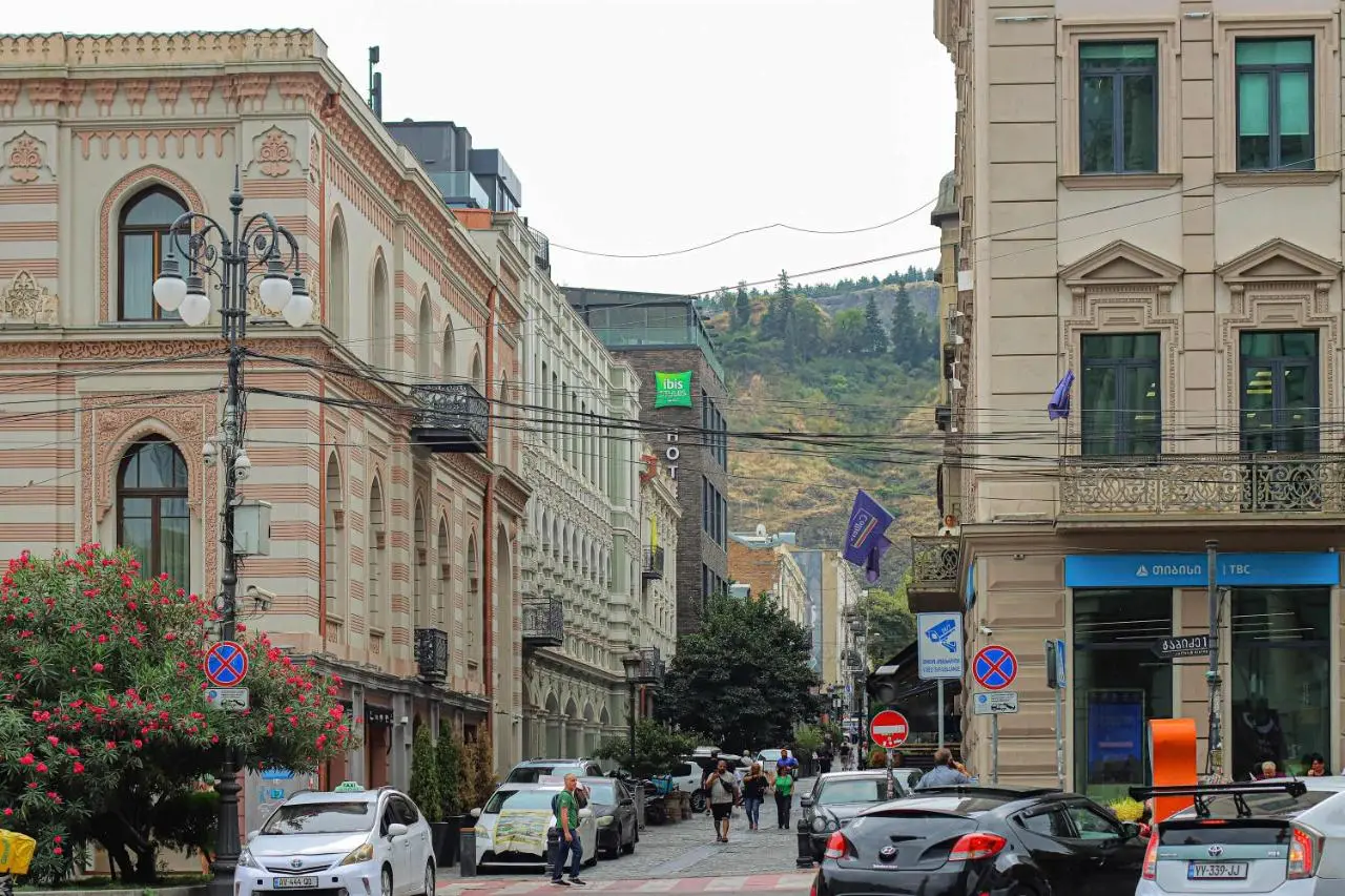 1-BR Apt in Central Tbilisi by Wehost