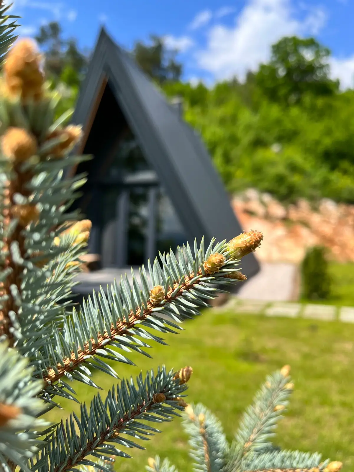 5 min from Sarajevo, Loon Moon Mountain Chalet