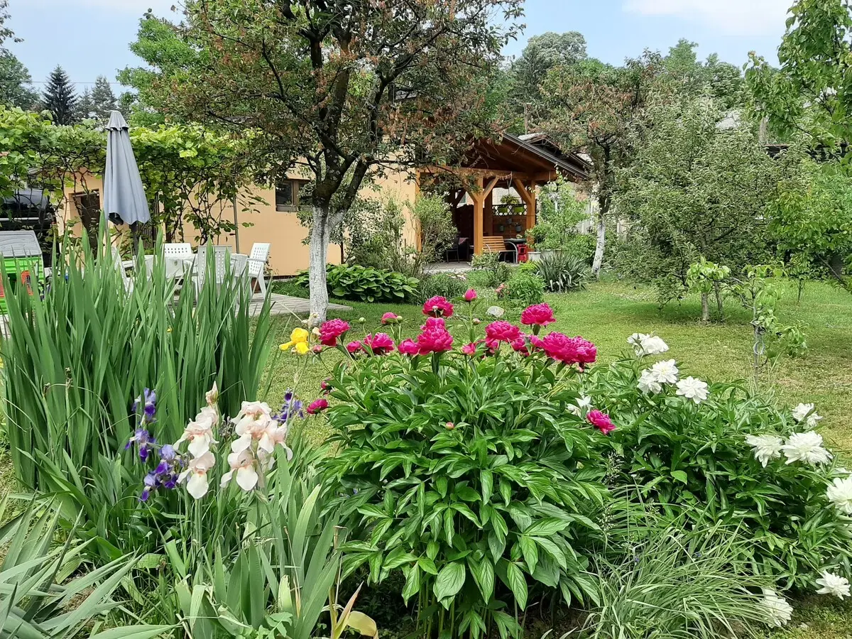 Magnolija - Comfortable Apartment near City Center