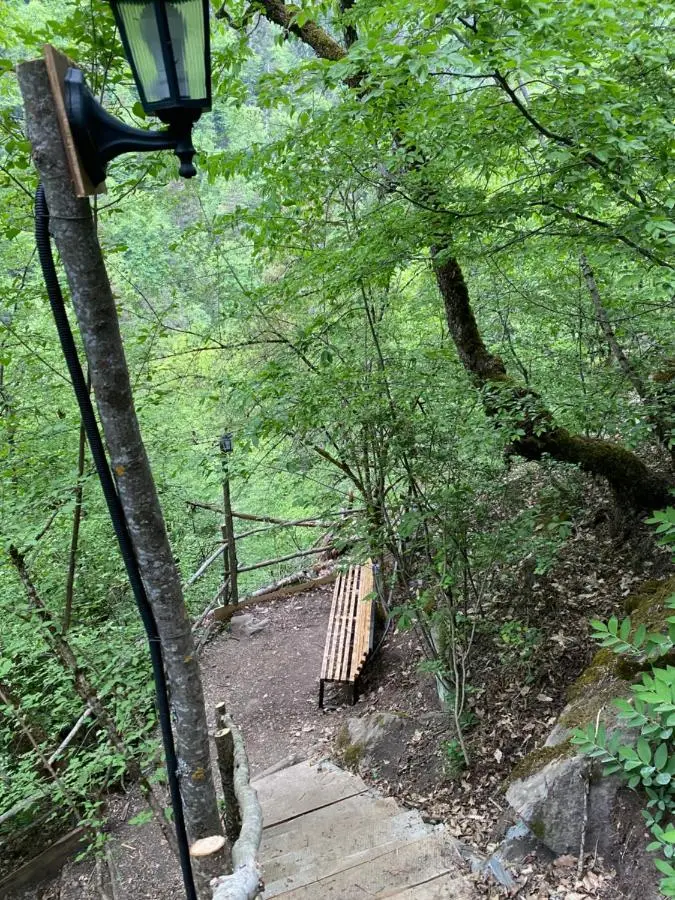 White House near Borjomi Sadgeri