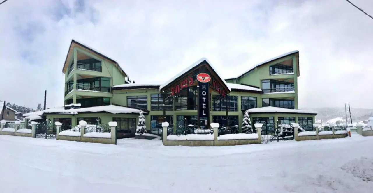 Hotel Villa Palace