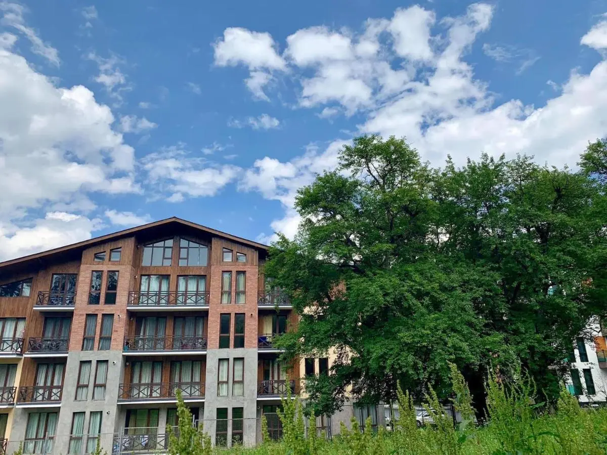Bakuriani Park Residence Apartment47