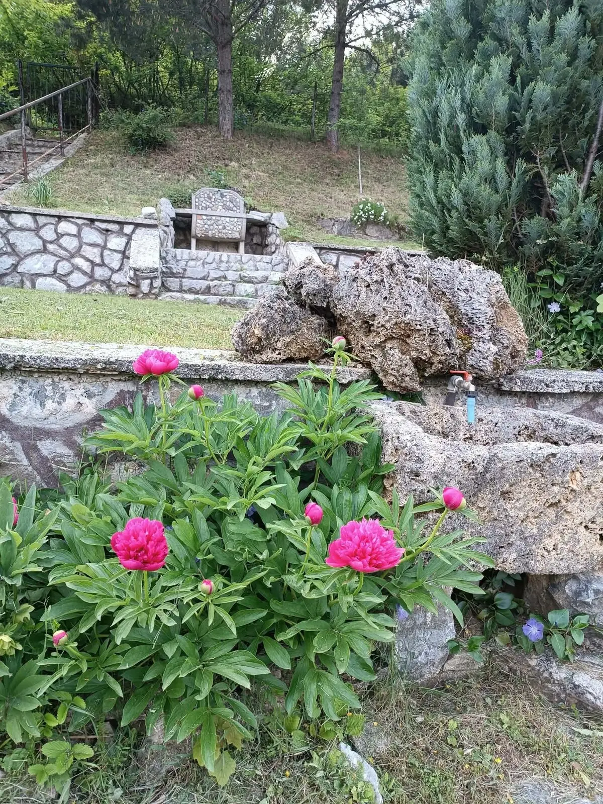 Nature escape Sarajevo