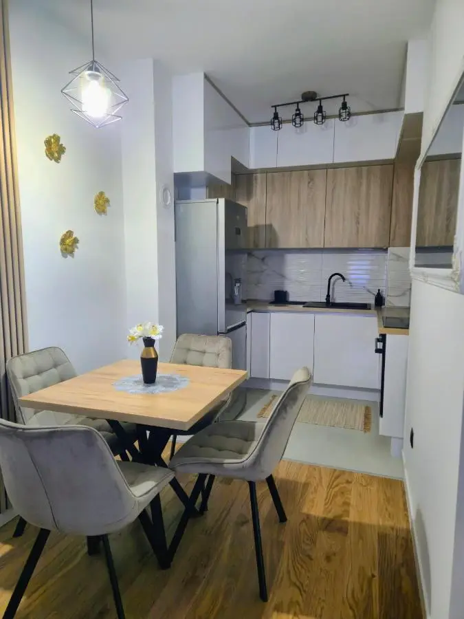 Apartment Alina Istocno Sarajevo with private garage Lukavica