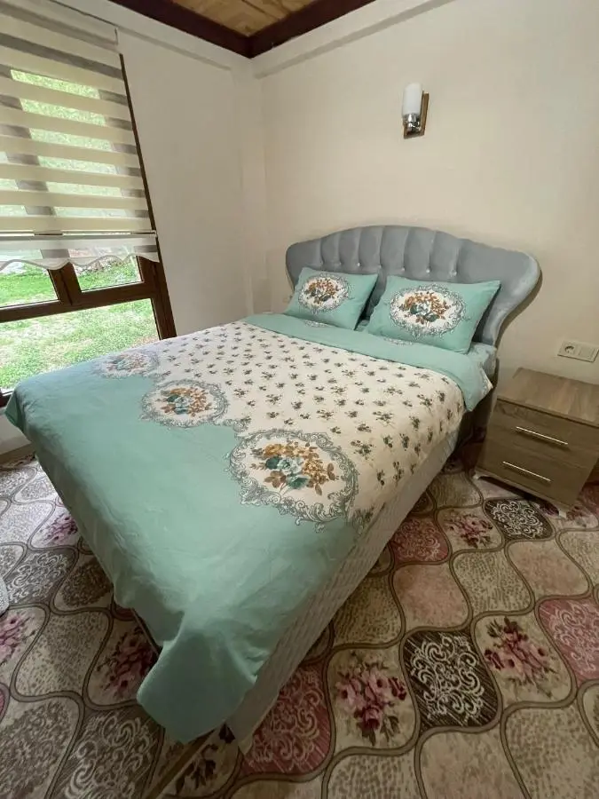Özgür Apart