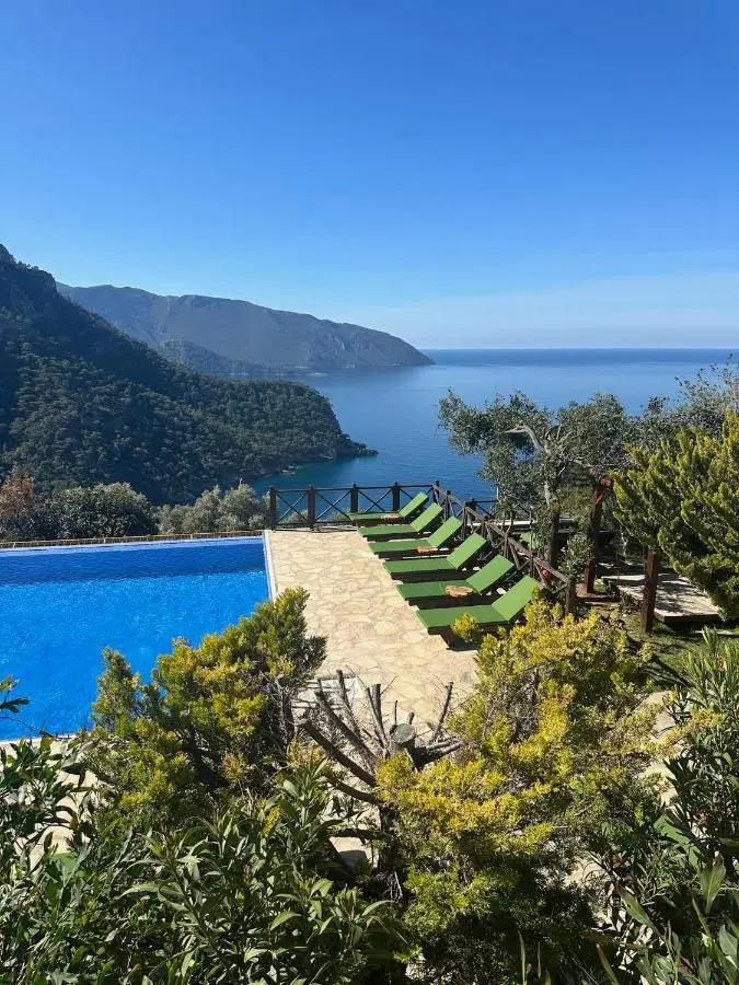 Olive Garden Kabak