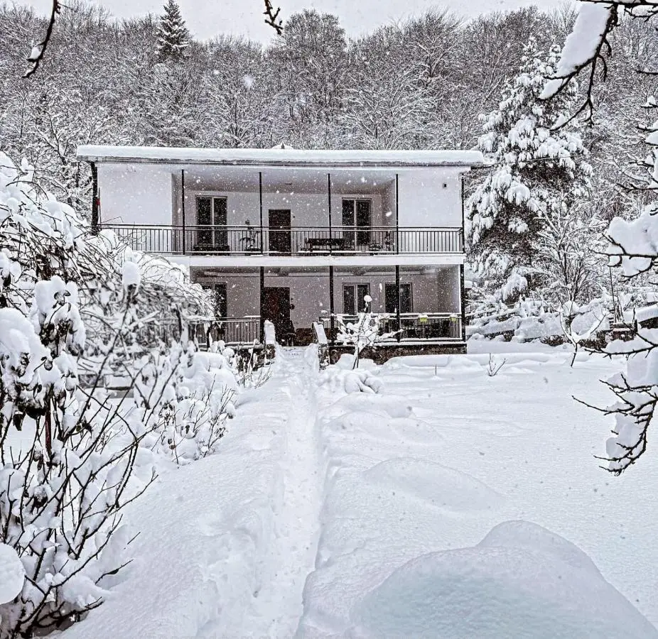 White House In Borjomi