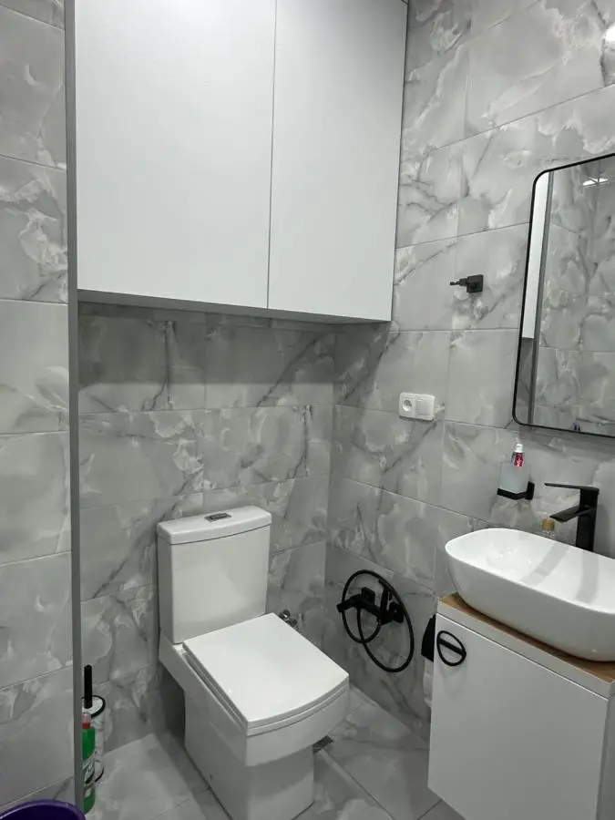 Modern apartment in Borjomi