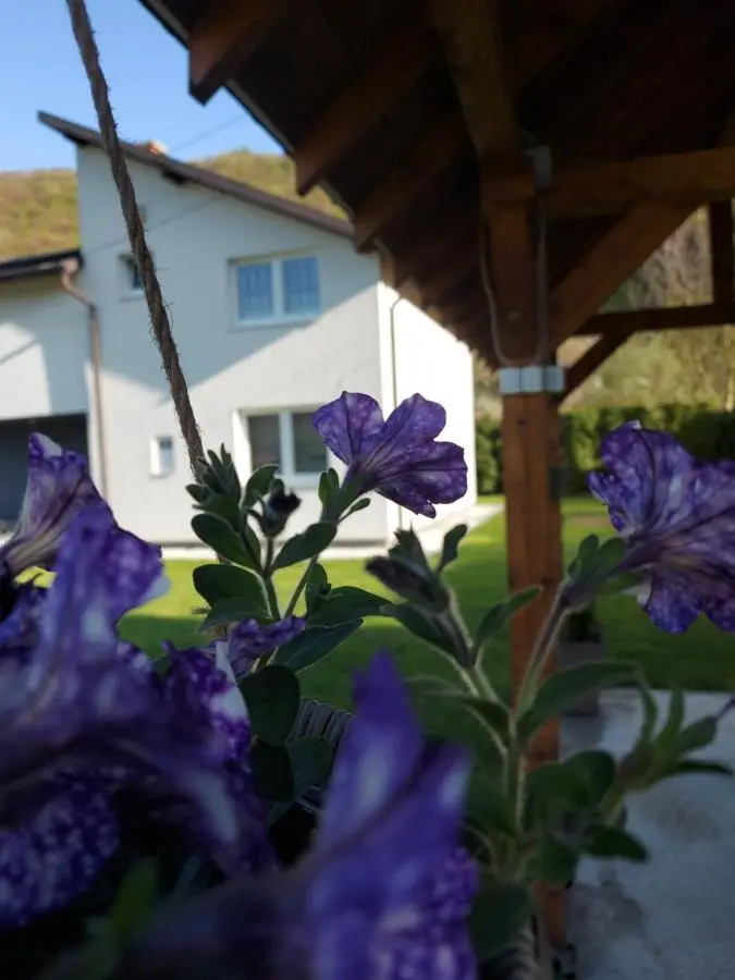Luxury house "Heart of Nature" Visoko
