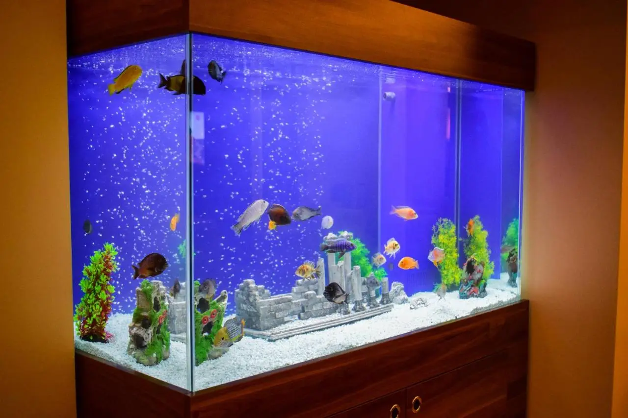 Mekke Hotel Istanbul