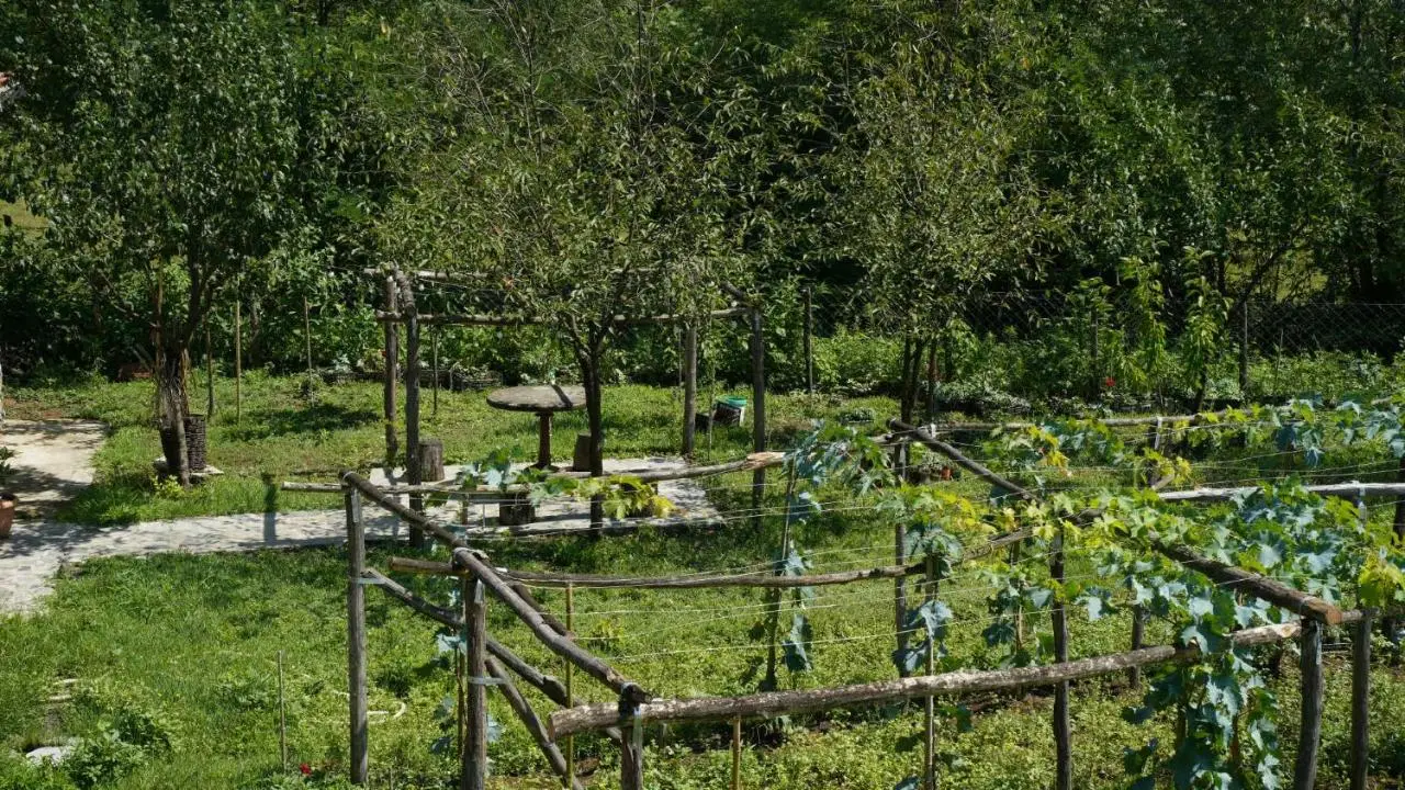 Villa Obcha - Whispering Vines Guesthouse