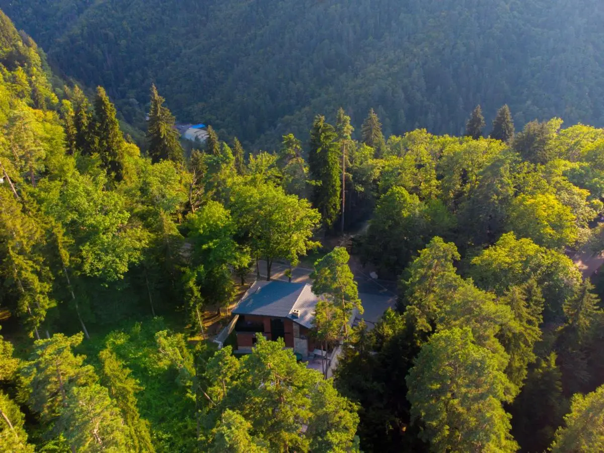 Hotel Evergreen