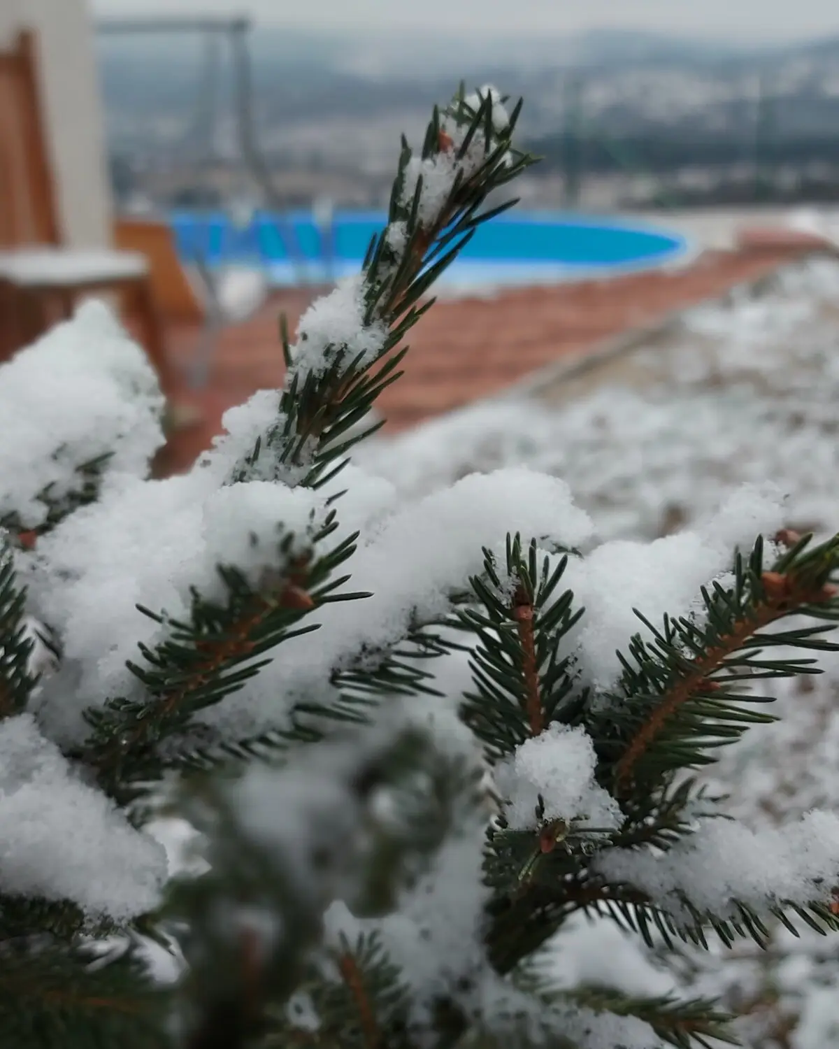 GardenLux Sarajevo