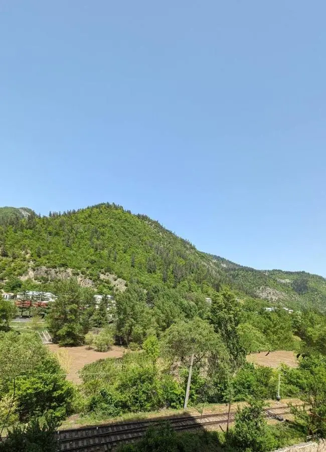 Gari's apartment next to Borjomi Central Park